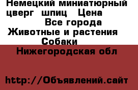 Немецкий миниатюрный(цверг) шпиц › Цена ­ 50 000 - Все города Животные и растения » Собаки   . Нижегородская обл.